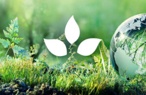 Product Sustainability Matrix